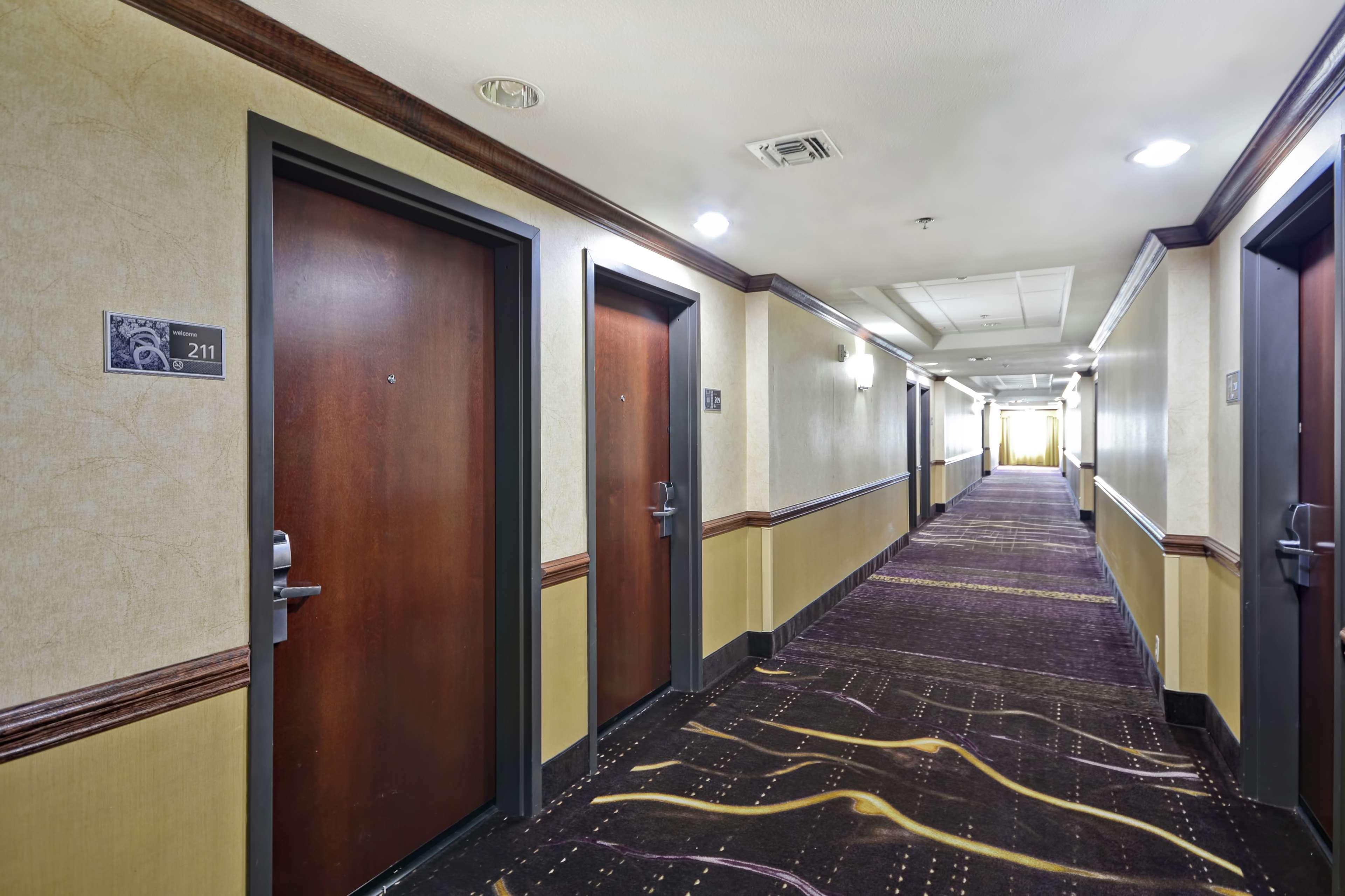 Hampton Inn & Suites Corpus Christi I-37 - Navigation Boulevard מראה חיצוני תמונה