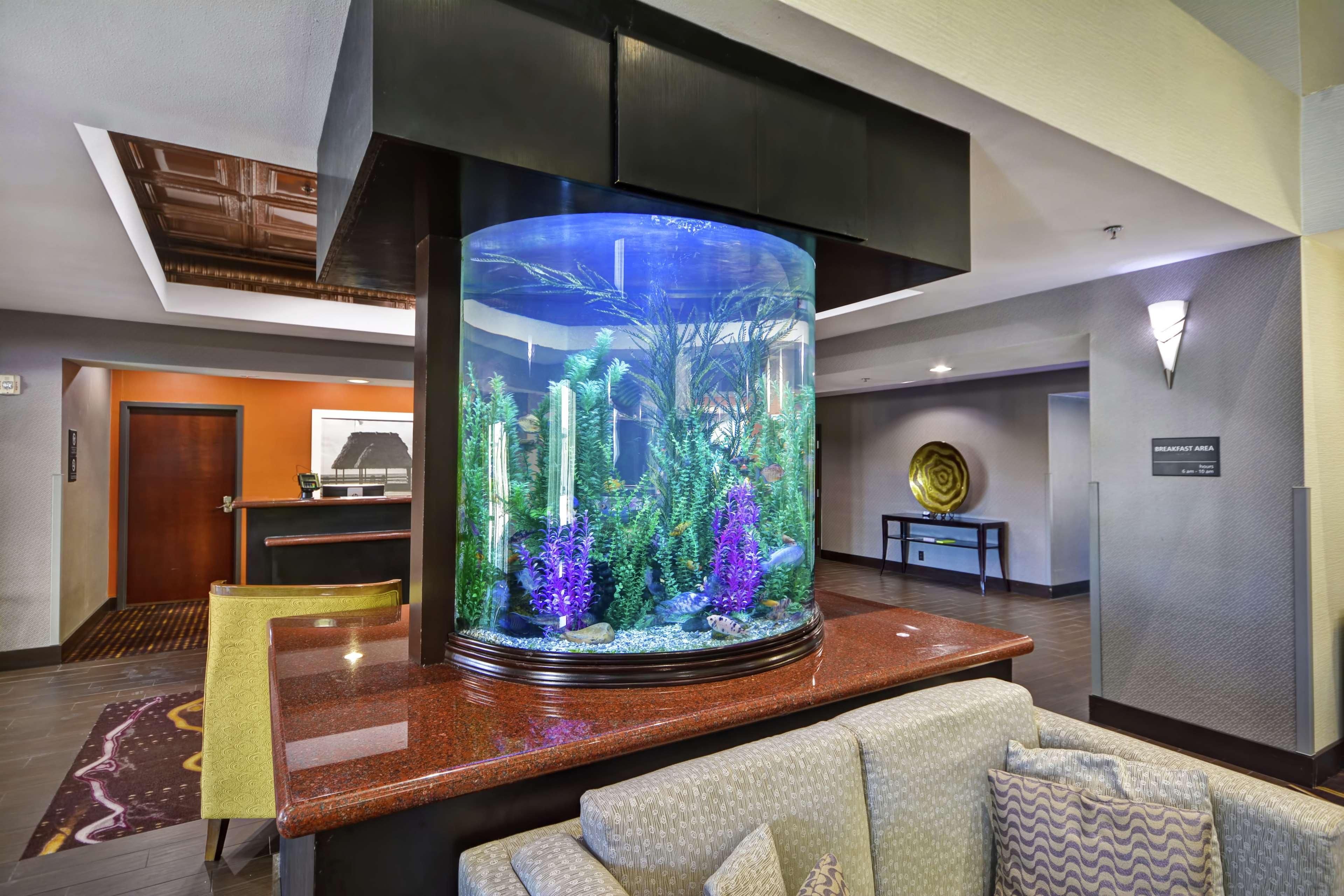 Hampton Inn & Suites Corpus Christi I-37 - Navigation Boulevard מראה חיצוני תמונה